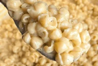 Creamy One-Pot Macaroni and Cheese Recipe