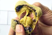 Matcha Mochi with Sweet Red Bean and Kinako Powder