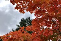 6 Ways to Embrace Hygge This Autumn