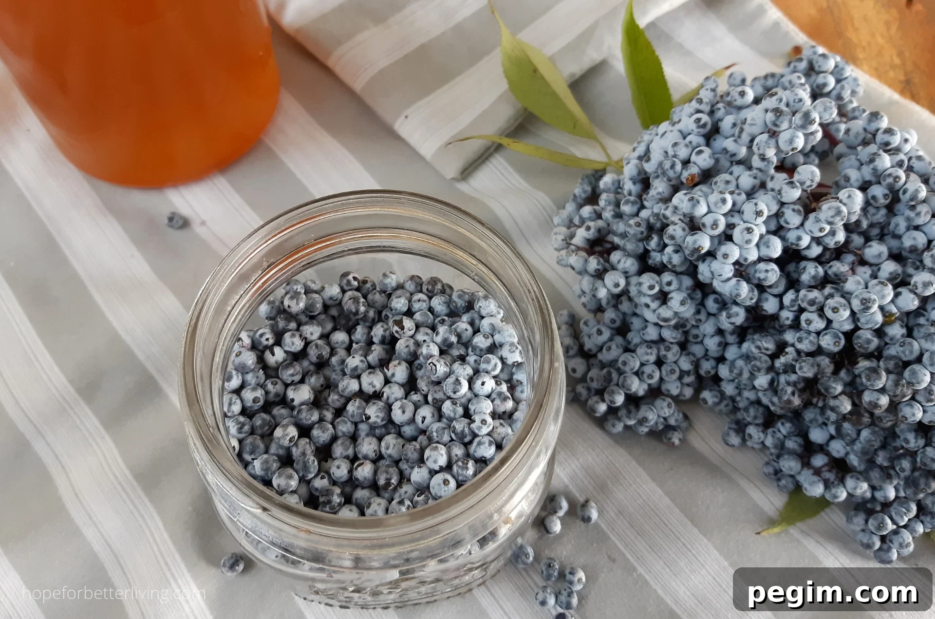 An Easy Elderberry Cold Syrup 