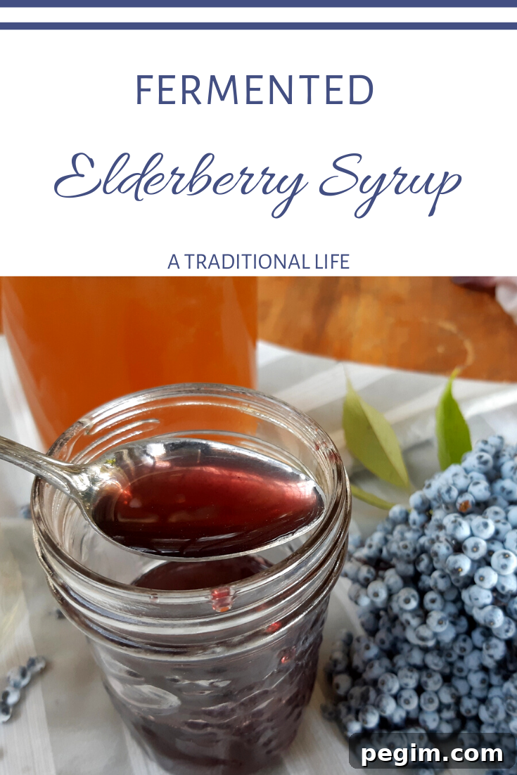 An Easy, DIY elderberry syrup recipe