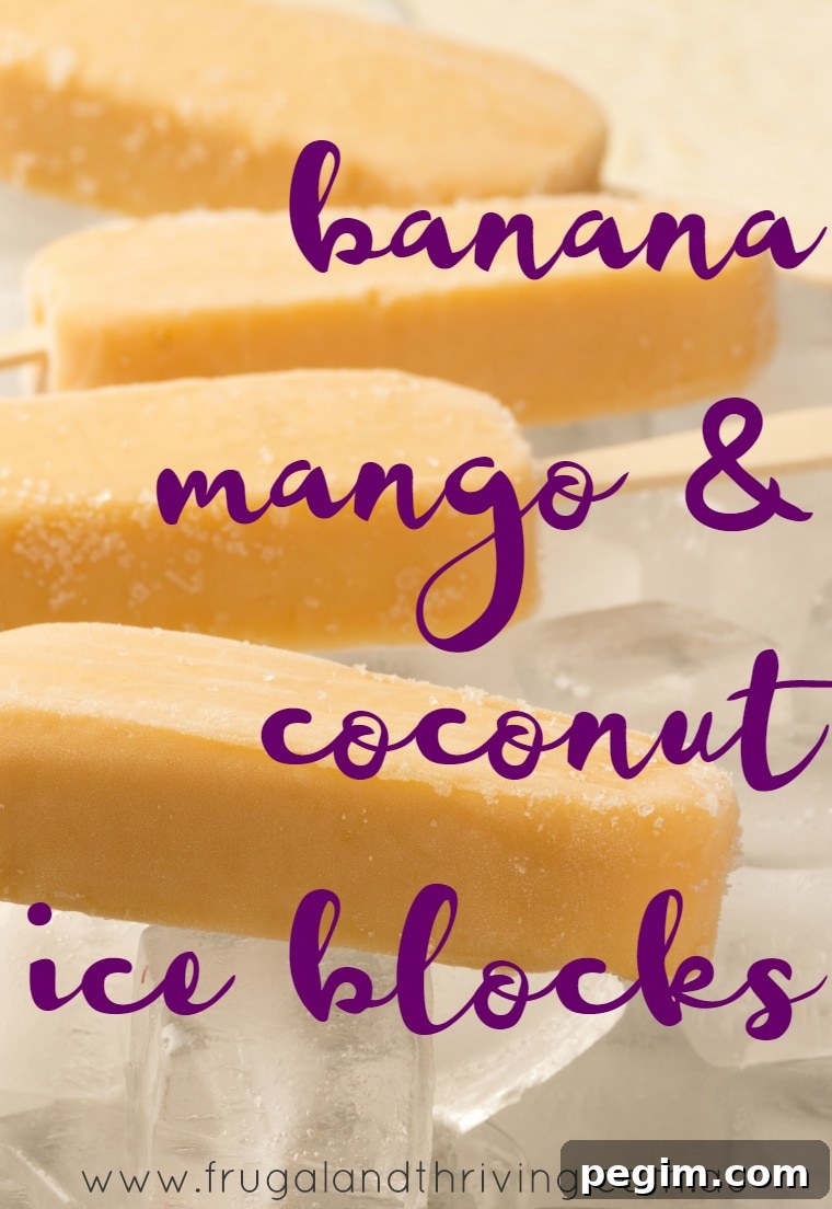 banana mango and coconut ice blocks
