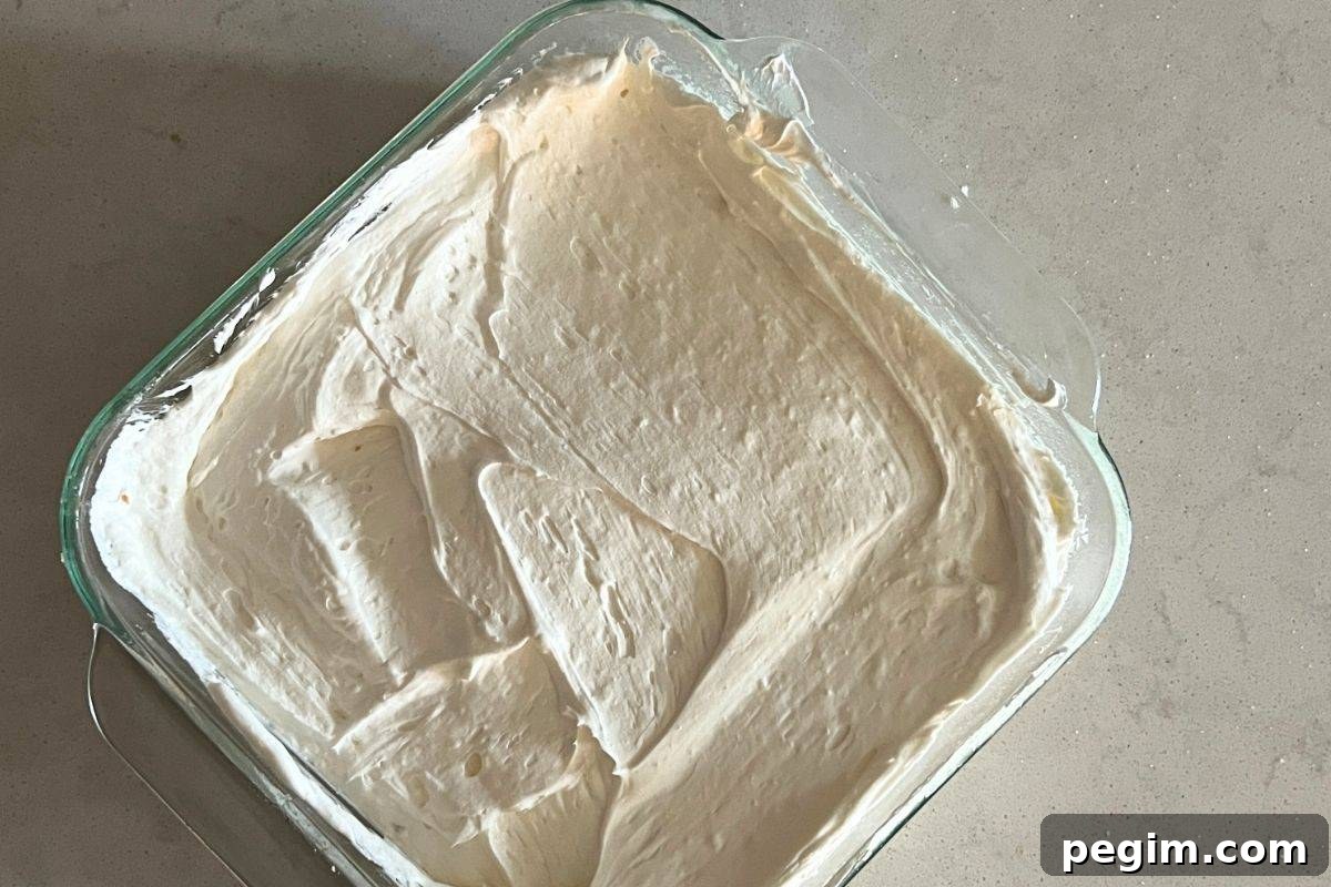 Cheesecake filling in graham cracker crust.