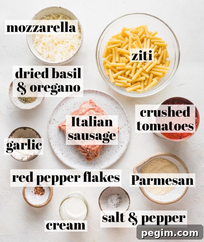 Labeled overhead image of ground Italian sausage, ziti, crushed tomatoes, dried basil, dried oregano, garlic cloves, mozzarella, Parmesan, cream, salt, and pepper, all measured into prep bowls and ready to cook.