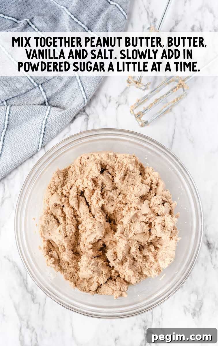 peanut butter, butter, vanilla, and salt blended together in a bowl