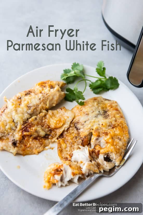 Air Fryer Parmesan White Fish on a plate