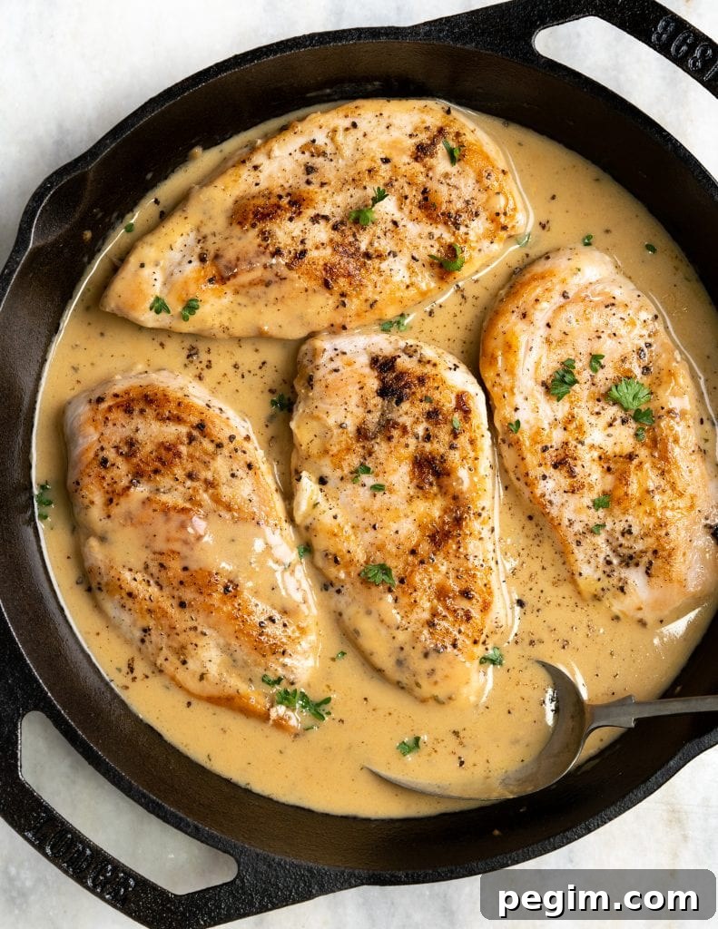 Creamy ranch chicken in skillet.