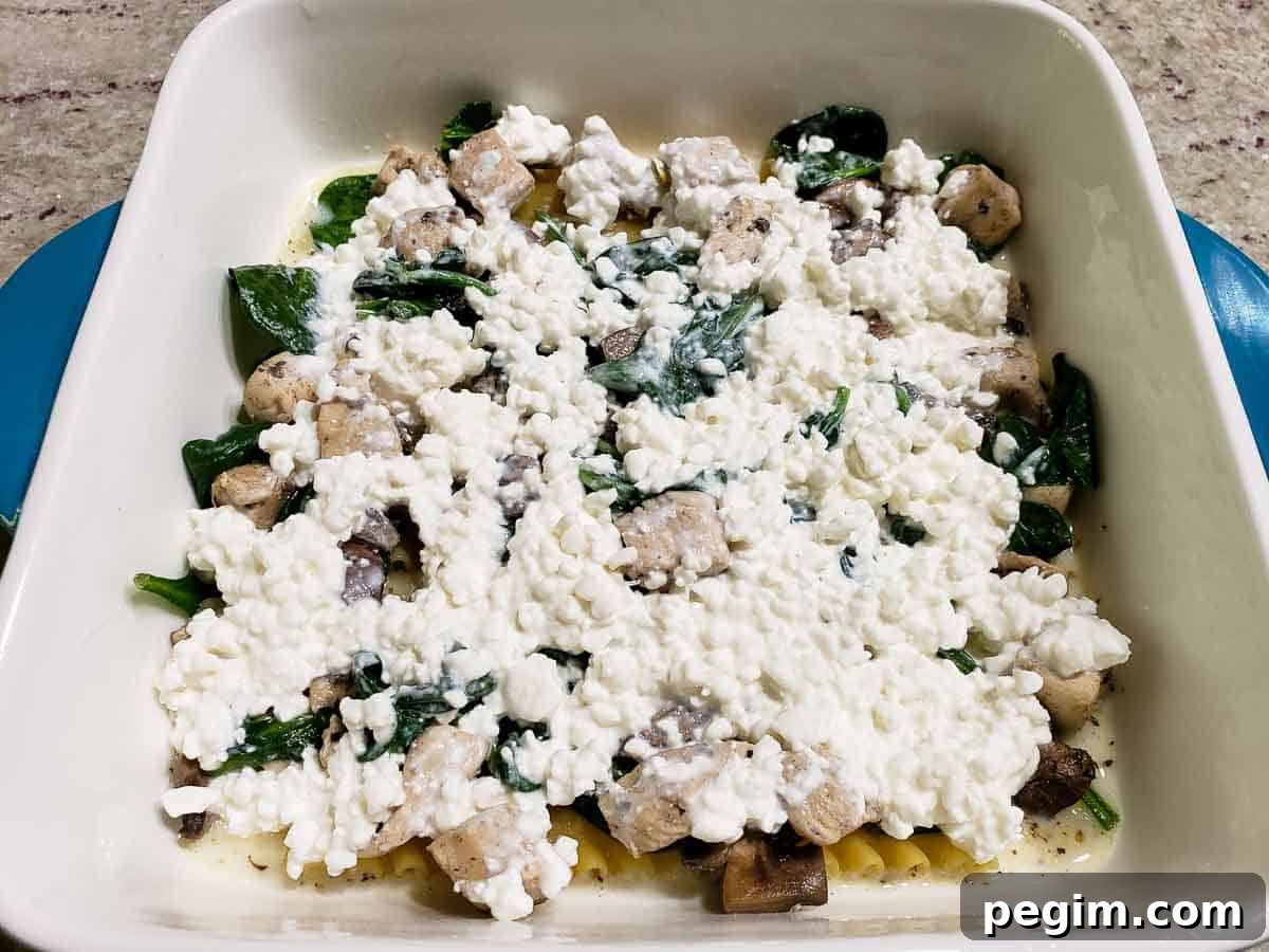 cottage cheese, chicken, spinach, mushrooms, and 3 half lasagna noodles layered over white sauce in a dish