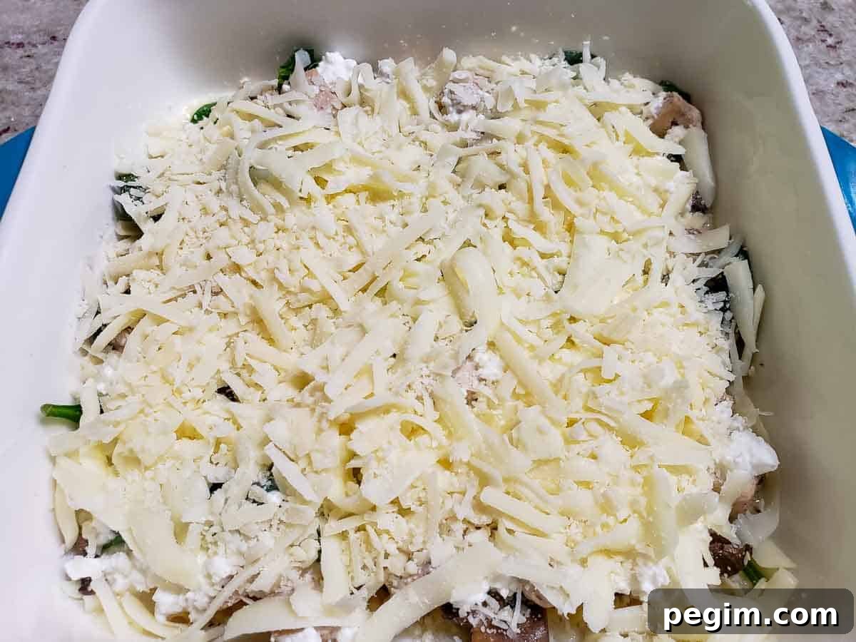 shredded mozzarella cheese and parmesan cheese layered over white chicken spinach lasagna
