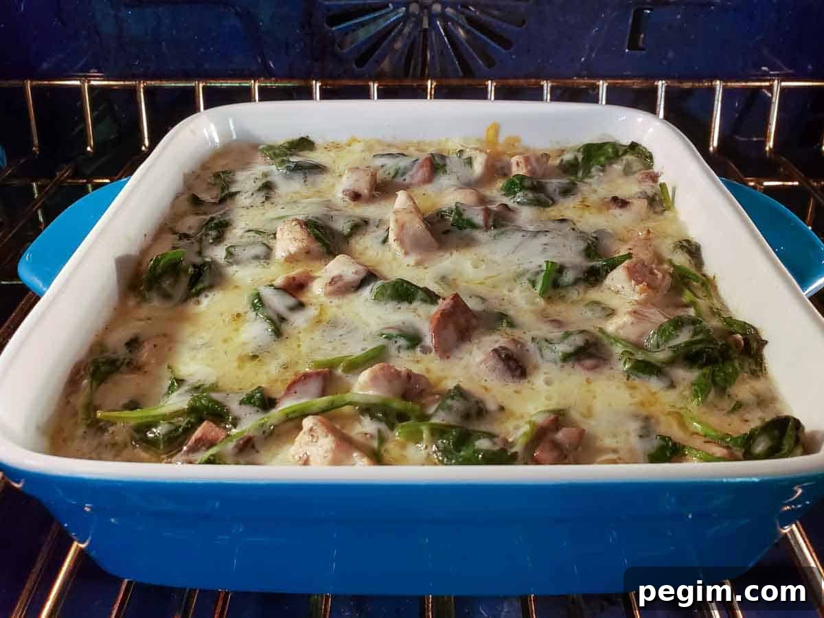 white lasagna with spinach and chicken baking in an oven