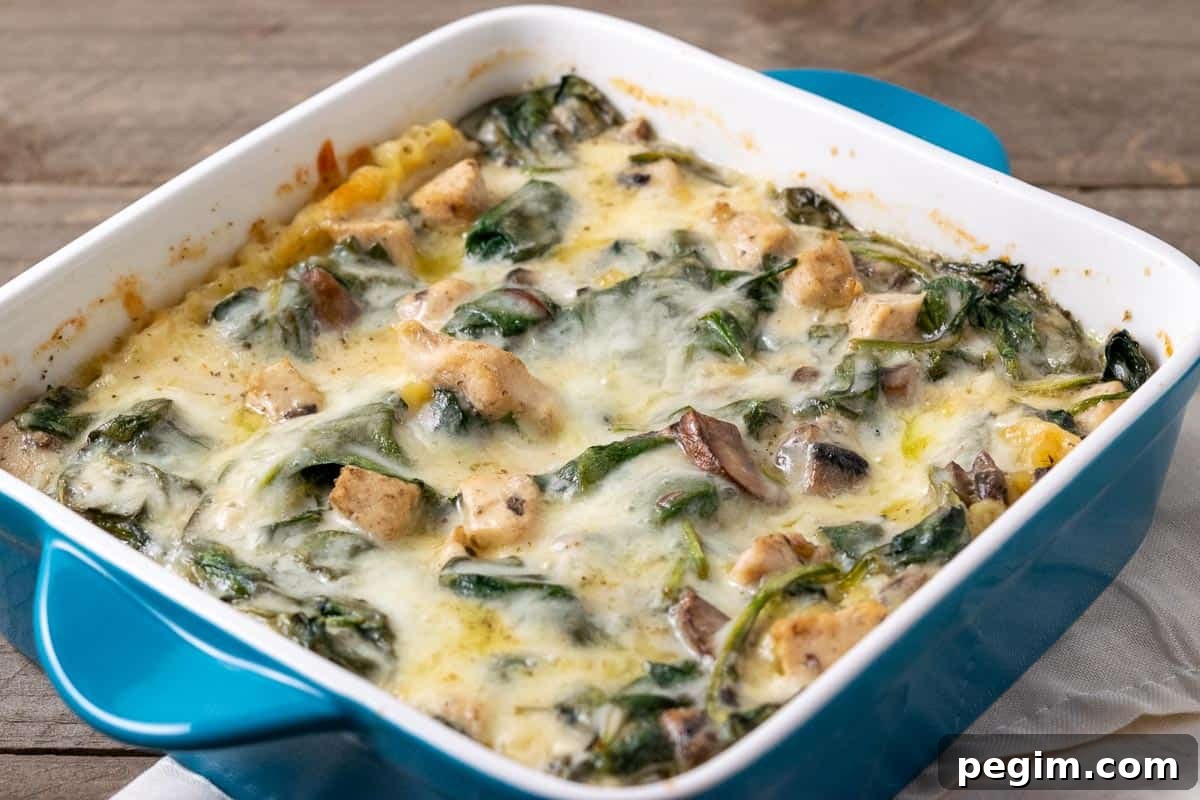 an 8 x 8 casserole dish of baked lasagna filled with lasagna noodles, spinach, chicken, and mushrooms in a white creamy sauce