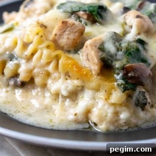 a plate with a large square of lasagna filled with lasagna noodles, spinach, chicken, cottage cheese, and mushrooms in a white creamy sauce