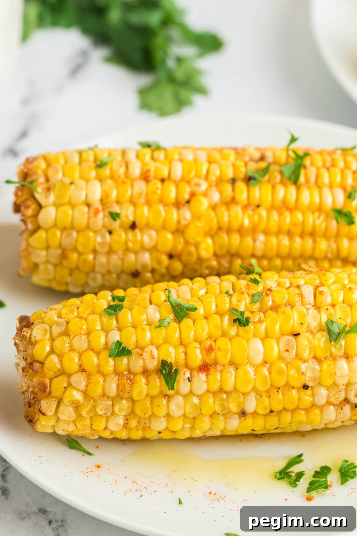 Crispy Air Fryer Corn on the Cob Recipe 2 Air Fryer Corn on the Cob