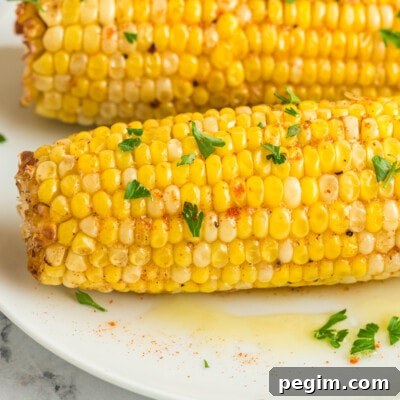 Crispy Air Fryer Corn on the Cob Recipe 11 Air Fryer Corn on the Cob feature