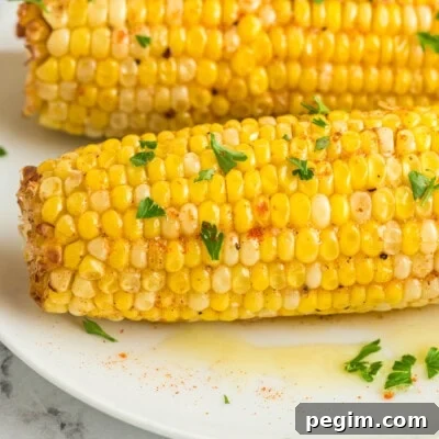 Crispy Air Fryer Corn on the Cob Recipe 12 Air Fryer Corn on the Cob feature