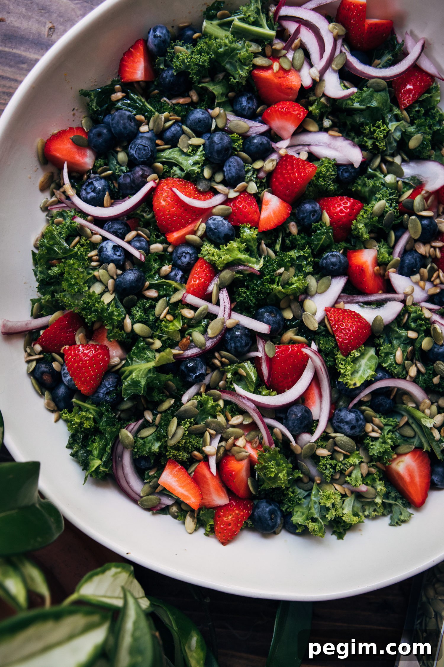 Vegan Superfood Kale Salad | Well and Full | #vegan #recipe #superfoods