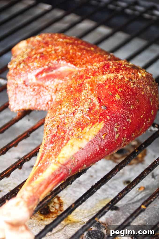 Wild turkey leg rubbed with cajun seasoning rub being smoked on grill grates
