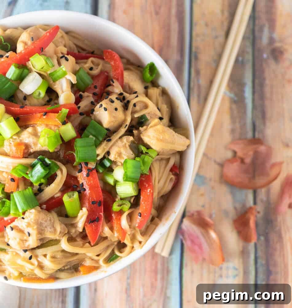 Chicken Lo Mein Above