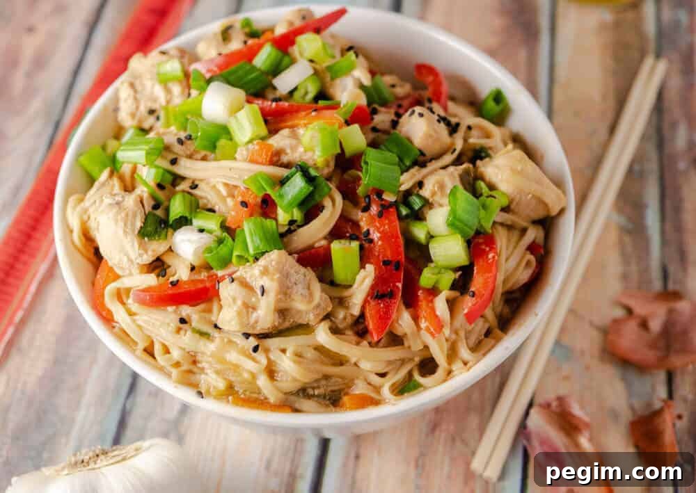 chicken lo mein dump meal