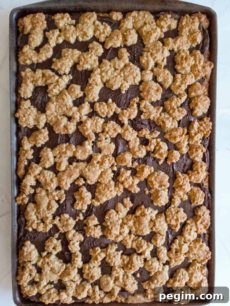 fudge bars are ready to cut and eat.