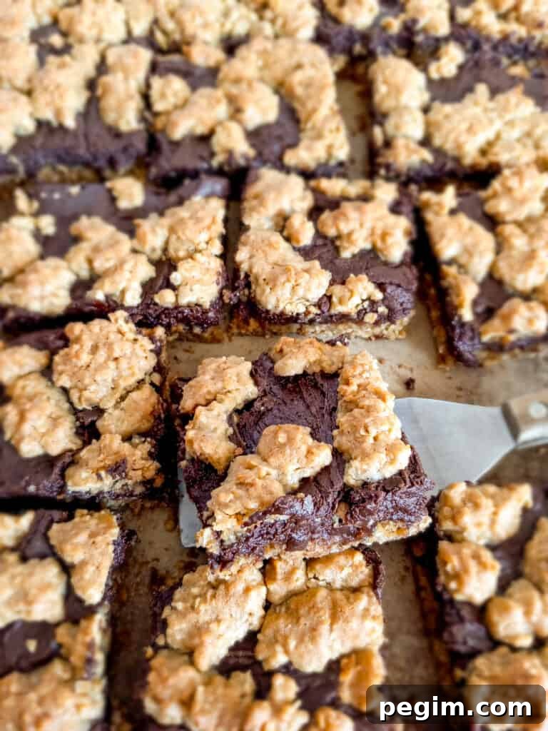 a pan of cut fudge bars, scooping one for a closer look.