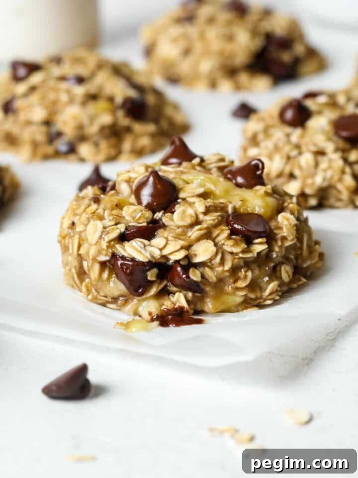Banana oatmeal cookies