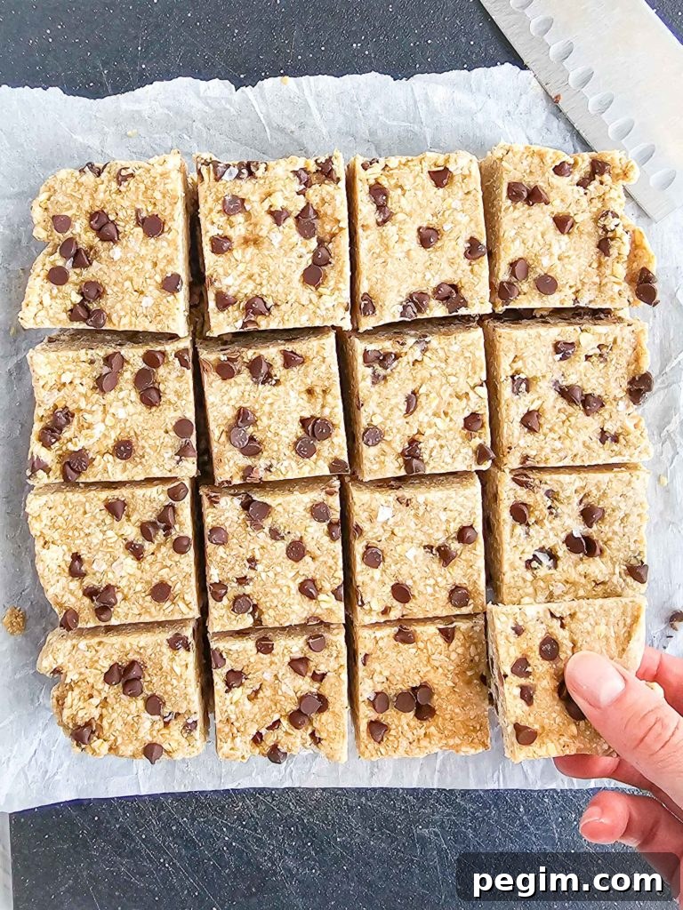 oat squares with chocolate chips