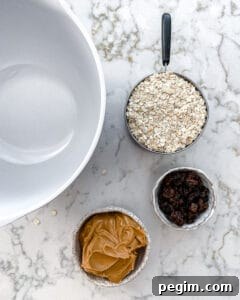 ingredients for Oatmeal Raisin Protein Balls measured out against a white surface