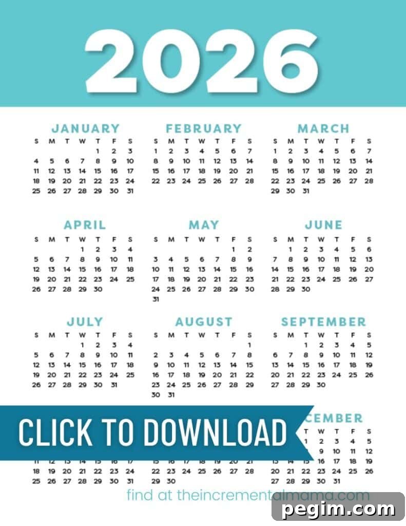 Free Printable One-Page Yearly Calendars 2025–2027 15 free blue 2026 calendar