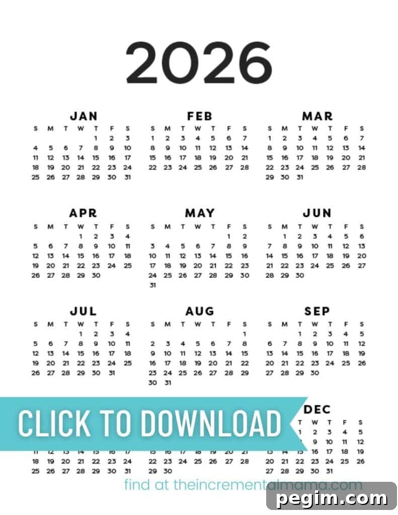 Free Printable One-Page Yearly Calendars 2025–2027 6 img 15184 5