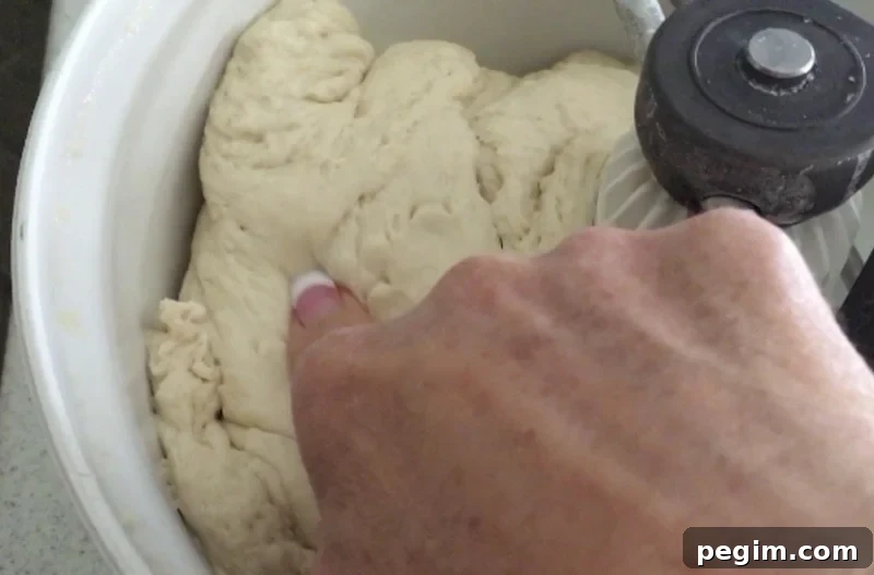 Spanish Bread Dough