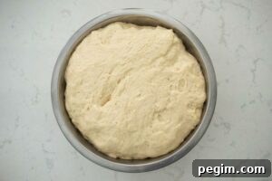 Spanish Bread Dough in a bowl 