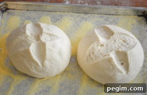 Spanish Bread in Baking Sheet