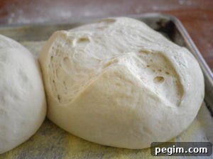 Spanish Bread in Baking Sheet