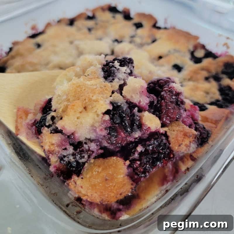 Bisquick Blackberry cobbler in a glass baking dish with a wooden spoon scooping cobbler out