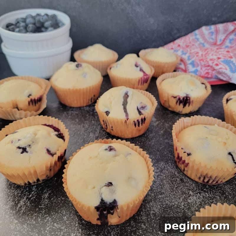 Bisquick Blueberry Muffins by a bowl of blueberries