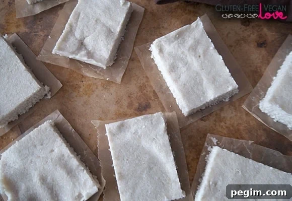 Vegan Gluten-Free Coconut Bars