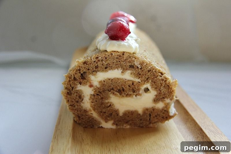 swiss roll