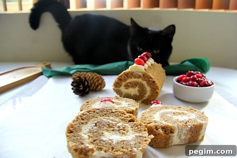 swiss roll