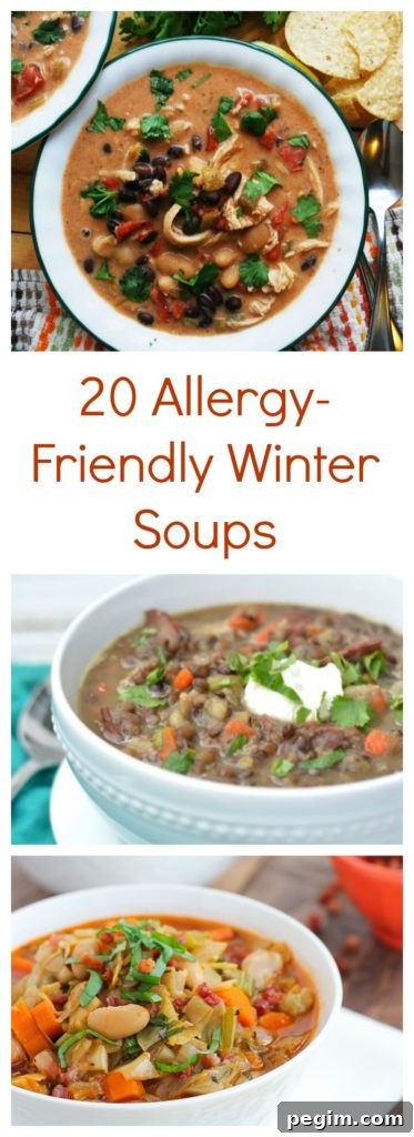 20 Allergy-Friendly Winter Soups by AllergyAwesomeness.com