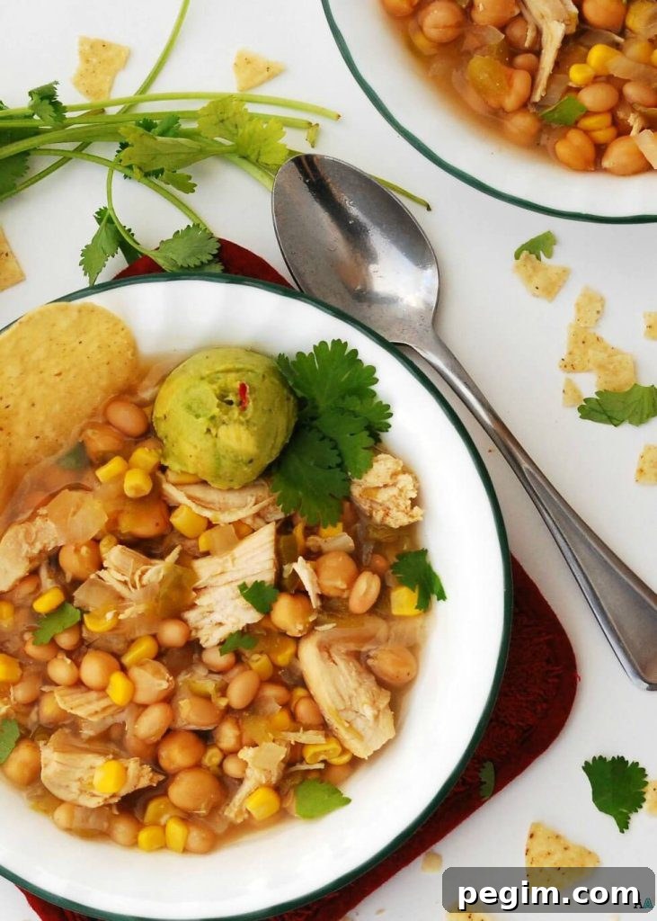 Slow Cooker White Chicken Chili (GF, DF, Egg, Soy, Peanut/Tree nut Free, Top 8 Free) copyrighted by Allergy Awesomeness