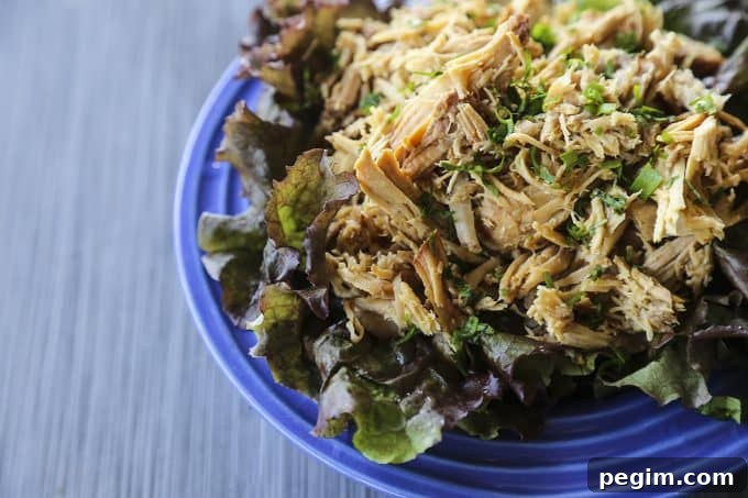 Slow Cooker Lemongrass Pork from foodiewithfamily.com