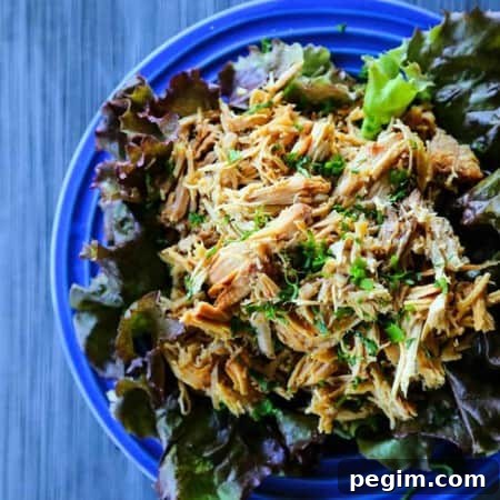 Slow Cooker Lemongrass Pork from foodiewithfamily.comSlow Cooker Lemongrass Pork from foodiewithfamily.com