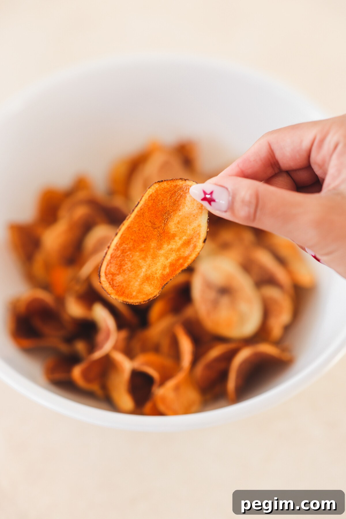 a hand holding one chip tio show the close up 