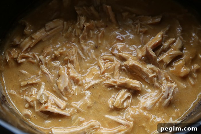A crockpot full of shredded pork roast and gravy.