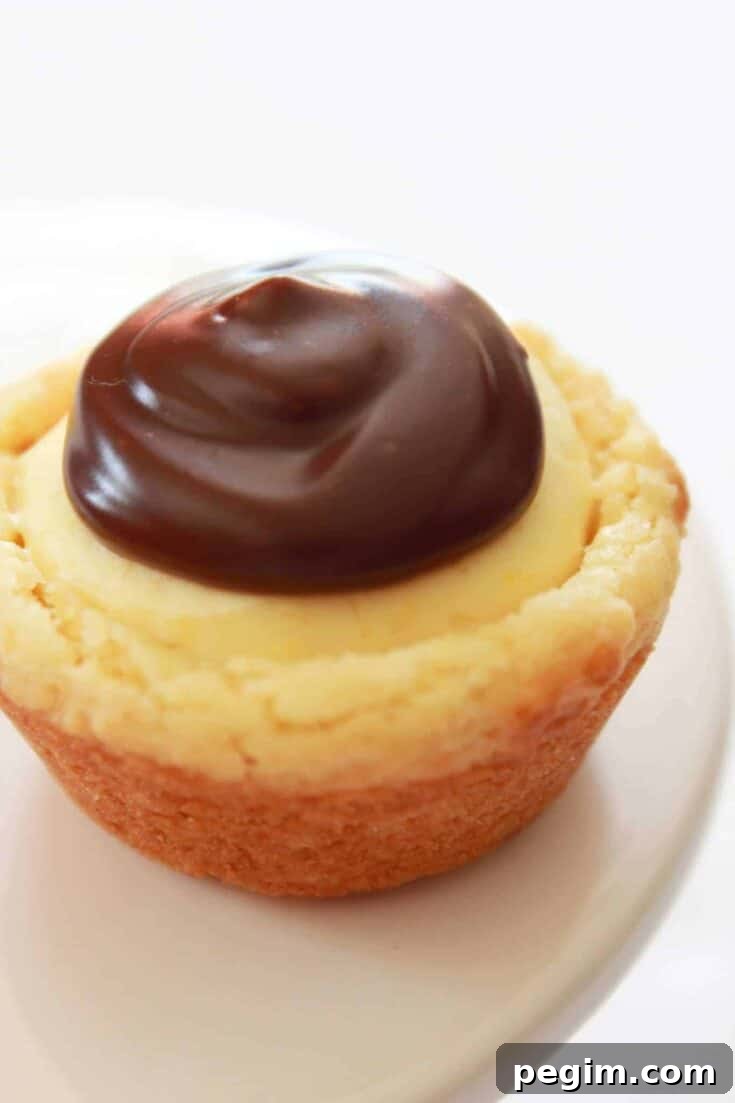 Easy Boston Cream Pie Cookie Bites Recipe featured by top US food blog, Practically Homemade