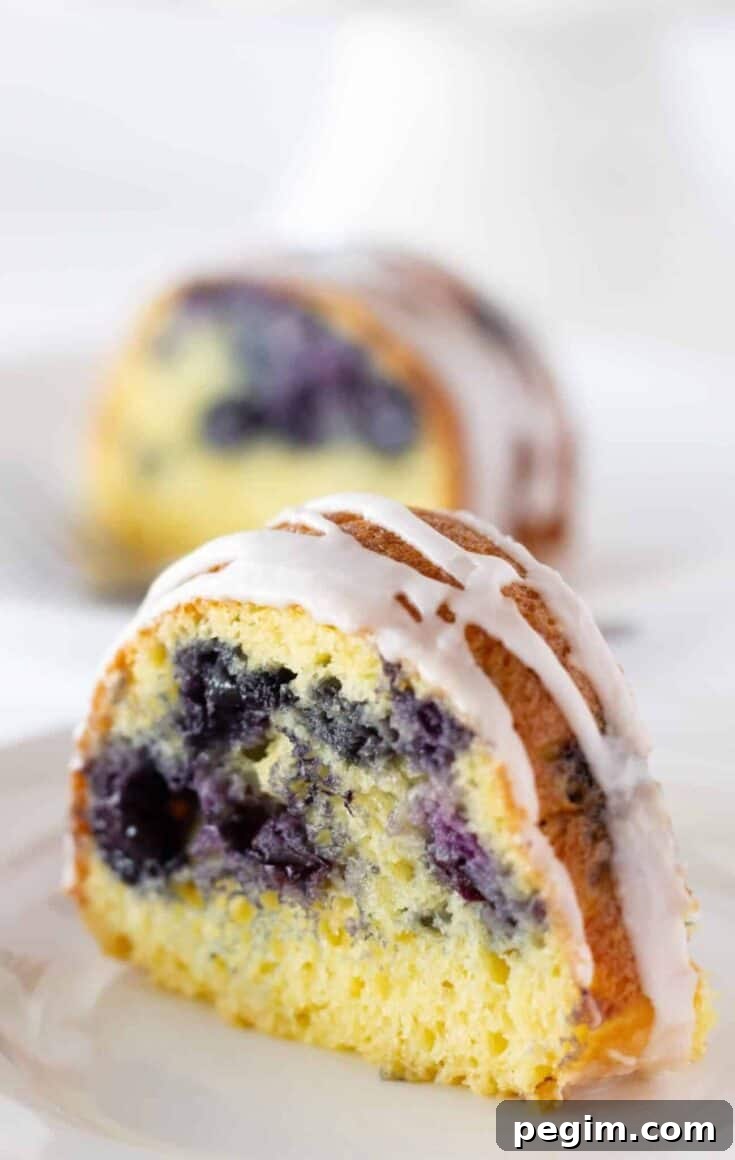 Blueberry Bundt Cake with a Cake Mix featured by top US dessert blogger, Practically Homemade