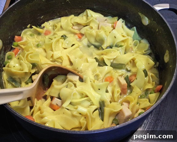 chicken and noodles