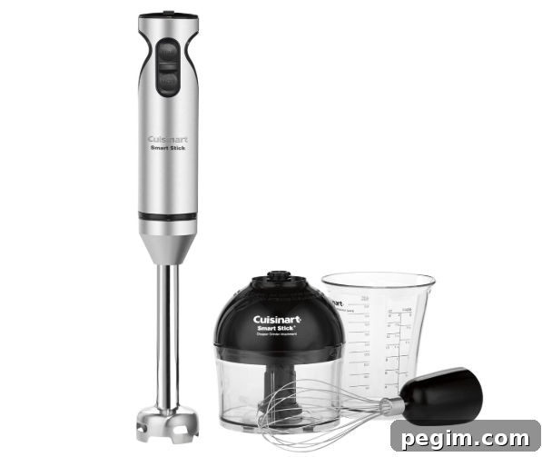 Emersion blender