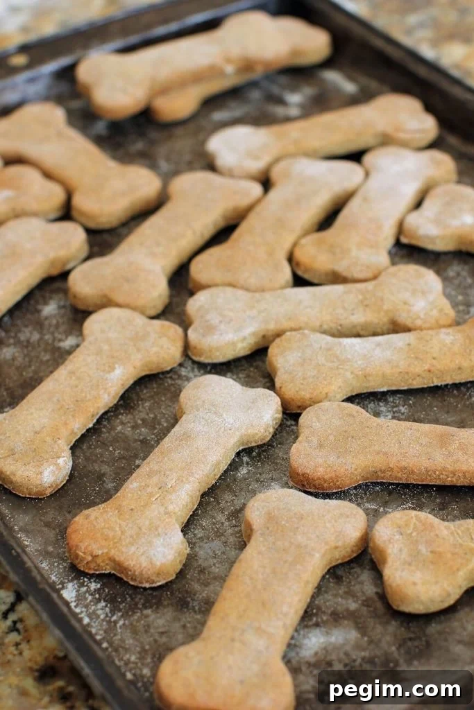 a pan full of homemade dog biscuits